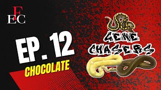 Gene Chasers Series Episode 12 Chocolate [upl. by Onaireves]