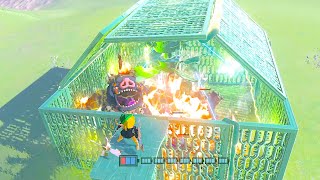 quotBokoblin Torture Chamber 6900quot [upl. by Notreve]