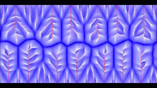 Branching drainage networks [upl. by Barnabe]