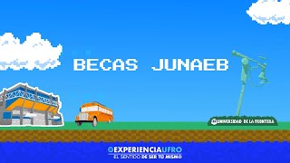 Proceso de Postulación yo renovación de Beca JUNAEB [upl. by Leuqram579]