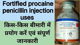 Fortified procaine penicillin injection uses in veterinary medicine । पेनिसिलिन इंजेक्शन का उपयोग ।। [upl. by Kingdon]