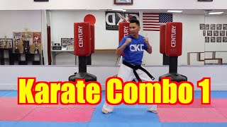 KARATE for Beginners  Lesson 4  Karate combo [upl. by Esnahc]