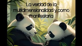 La verdad de la Multidimensionalidad y como manifestarla [upl. by Annoerb333]