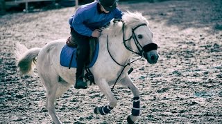 Mounted Games Corné 2017 Thomas amp Olympe U17 [upl. by Bal]