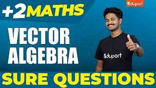 Plus Two Maths  Sure Questions  Vector Algebra  Eduport Plus Two [upl. by Afatsom192]