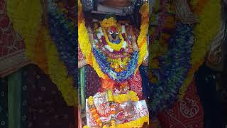 Jai mata di🙏🙏🌷🌷shorts shortvideo song bhajan bhakti jaimatadi love trending maa mata [upl. by Nytsyrk634]