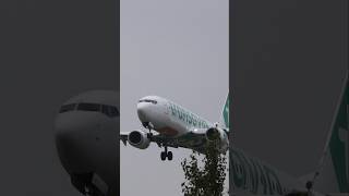 Transavia 737 SUPER Closeup🤩 [upl. by Arammat]