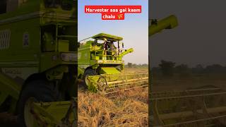 Harvestar dhan🌾👳cutai chalu part 2  punjab harvester [upl. by Olbap]