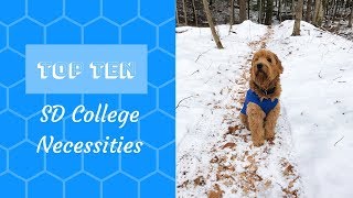 TOP TEN Service Dog Necessities in College [upl. by Nyra]