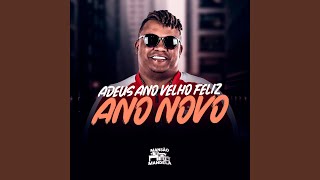 Adeus Ano Velho Feliz Ano Novo feat DJ W7 [upl. by Noskcaj]