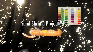 Water Problems amp A New Channel Sand Shrimp Project Update 4 [upl. by Timms]