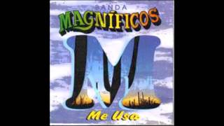 CD Banda Magníficos Me Usa  Vol 3 1997 [upl. by Shaia]