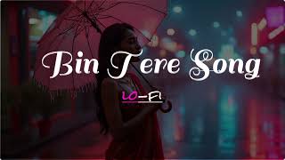 Bin Tere New Hindi Song [upl. by Gaby]