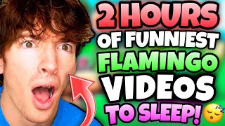 2 HOURS OF “FUNNIEST” FLAMINGO VIDEOS TO FALL ASLEEP ROBLOX [upl. by Nela658]