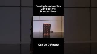 Proving burnt waffle can’t get 1k subscribers [upl. by Cesar]