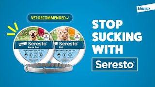 Seresto® the 1 VetRecommended Flea and Tick Collar That Doesnt Suck [upl. by Llenad]