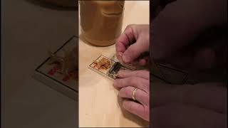 Mouse Trap Basics In One Minute [upl. by Suixela]