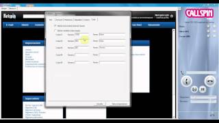 Netspin  CallSpin [upl. by Ahsekahs]