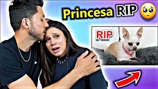 Princesa Passed Away Moment 🥺 RIP  The Royalty Family Spotlight [upl. by Amelus]