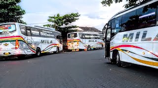 DAPAT PESANAN 48 KURSI 3 BUS MILA SEJAHTERA PARKIR BARENG waowwww [upl. by Siger515]