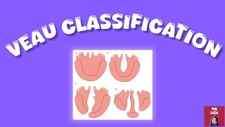 Cleft Lip An Palate Classification VEAU CLASSIFICATION [upl. by Ahsuatan]