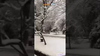 winter is coming  snowfall ❄️⛄️ travel almatykazakhstan  love  short  trending video [upl. by Narmis343]