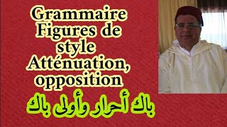 Figures de Style Atténuation Et Opposition  الجزء 2 و 3 1ères bac et bac libre [upl. by Lavern]