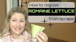 Regrow Lettuce from Scraps FAST [upl. by Hadwin]