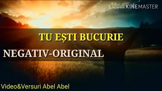 Negativoriginal Tu esti bucurie  Video amp Versuri  Demyr [upl. by Akehsal225]