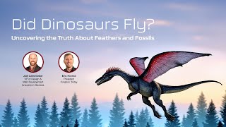 Did Dinosaurs Fly Feathers and Fossils  Eric Hovind amp Joel Leineweber  Creation Today Show 397 [upl. by Naenaj]