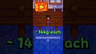 The Best Places to Fish in Every Season of Stardew Valley stardewvalley [upl. by Agathy]