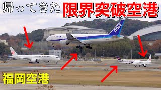 【大混雑】福岡空港の離着陸機を解説！ [upl. by Yseult]