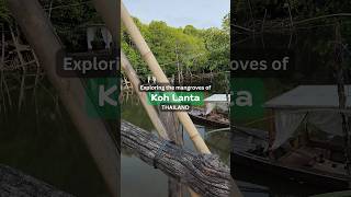 Ko Lanta Thailand  Mangrove Longtail Boat Tour [upl. by Orva]