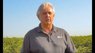 WETCIT  GAR Bennett on Cotton Defoliation [upl. by Ibok]