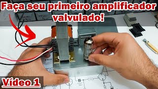 AMPLIFICADOR VALVULADO  Construa seu primeiro amp💡  Esquema  Projeto  Passo a passo VÍDEO 1 🔊 [upl. by Yeargain]