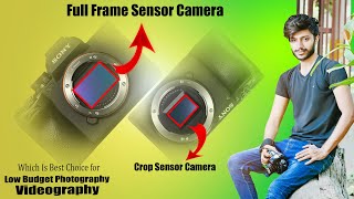 CropSensor vs Full FrameSensors Which Is Best Choice for Low Budget Photography amp Videography [upl. by Tomaso104]