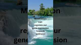 Meditation can regulate our gene expression towards wellnessmeditation farazberjis coredigestive [upl. by Lyndsay]