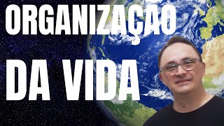 ENTENDA DE VEZ A ORGANIZAÇÃO DA VIDA NO PLANETA TERRA [upl. by Noyes]