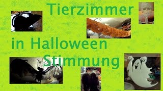 Tierzimmer in Halloween Stimmung [upl. by Parthinia522]