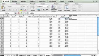 ¿Cómo construir una base de datos en excel y analizarlos PARTE 1 [upl. by Ggerc]