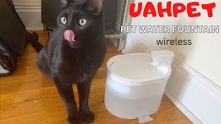 UAHPET wireless pet water fountain [upl. by Lynnette58]