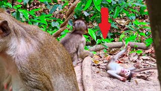 What going on baby new born Baby new born fall down his mom no help [upl. by Agate]