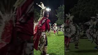 nativeamerican indigenous jingledress sioux cree culture dancing navajo powwow viral [upl. by Lincoln]