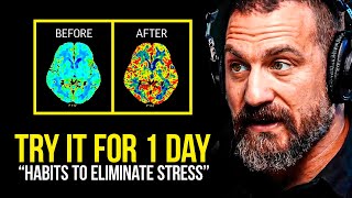 NEUROSCIENTIST You Will NEVER Be Stressed Again  Andrew Huberman [upl. by Edson769]