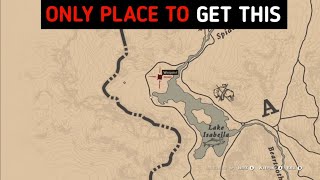 Dont Forget To Take This Rare Item After Taming White Arabian Horse  RDR2 [upl. by Anirahs934]