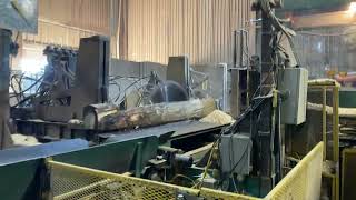 8ft Aspen Logs sawmill palletsawmill likeandsubscribe [upl. by Prem]