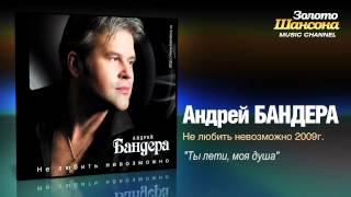 Андрей Бандера  Ты лети моя душа Audio [upl. by Brabazon]