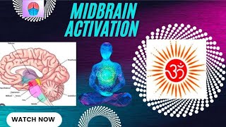 OM Midbrain Activation Jorhat Centre  Super Result in short period  Arnab amp Gauranga [upl. by Illac935]