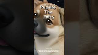 Pugsley the fatty [upl. by Alehs]