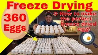 Freeze Drying 360 Eggs🍳 amp How to make the Perfect Freeze Dried Egg [upl. by Nnaycart]